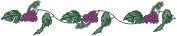 grapebarhor.gif (3654 bytes)